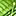 Olley_1