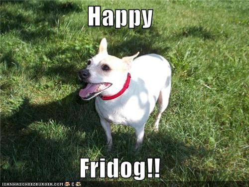 happy-fridog.jpg
