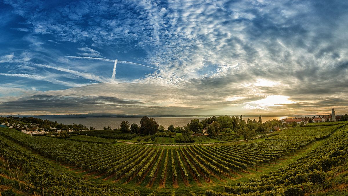 Lake Constance at sundown with the german, swiss and austrian border. 