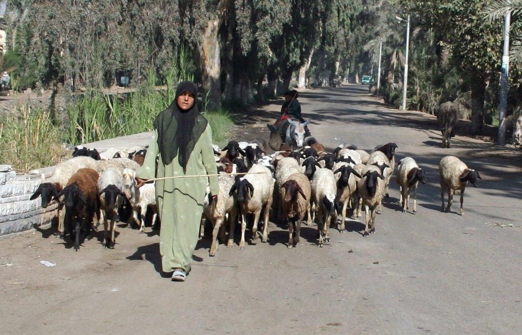 une femme.jpg