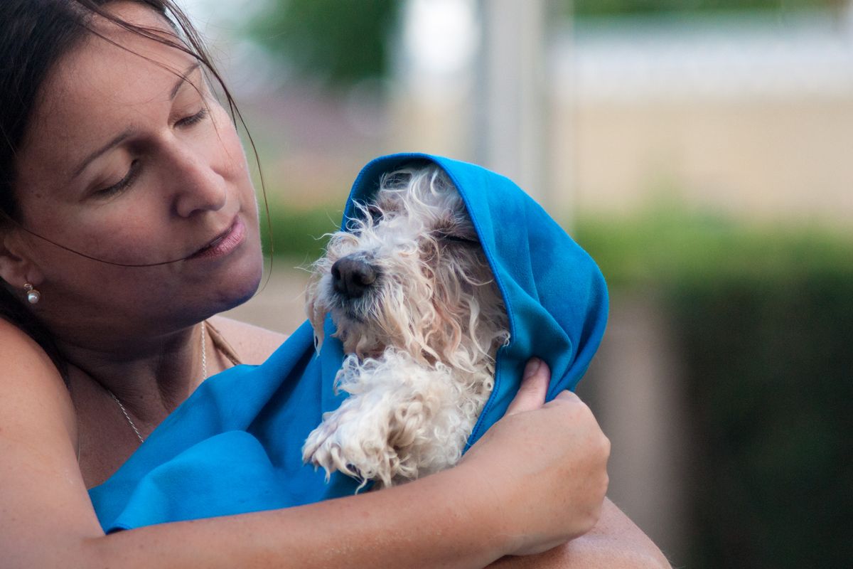 La chica seca con ternura a su perrito