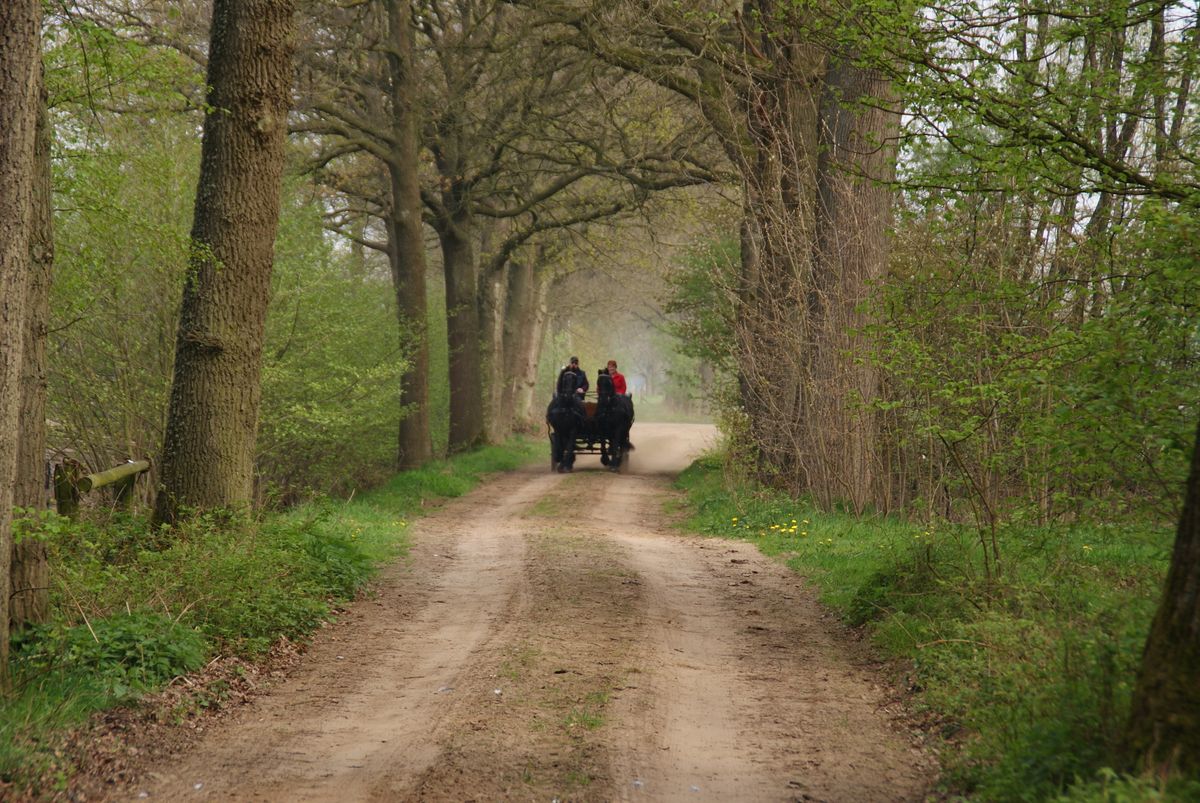 Landweggetje in de ACHTERHOEK