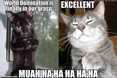 400x400_1380308337922-world-domination-by-cats.jpg