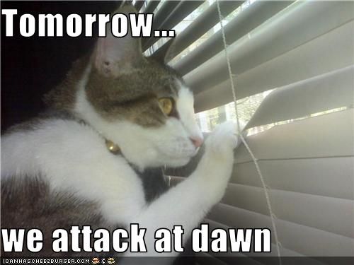 World_Domination_Cat_attacks_RE_15_Then_And_Now_Cats-s500x375-235893.jpg