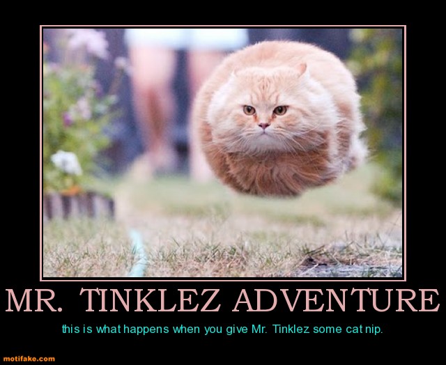 mr-tinklez-adventure-funny-demotivational-posters-1304521165.jpg