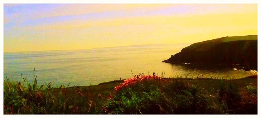 Golden Sunset - Ireland Nature Trail