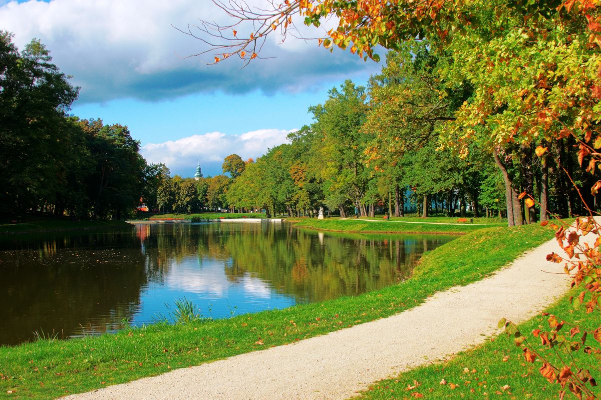 Park Syców