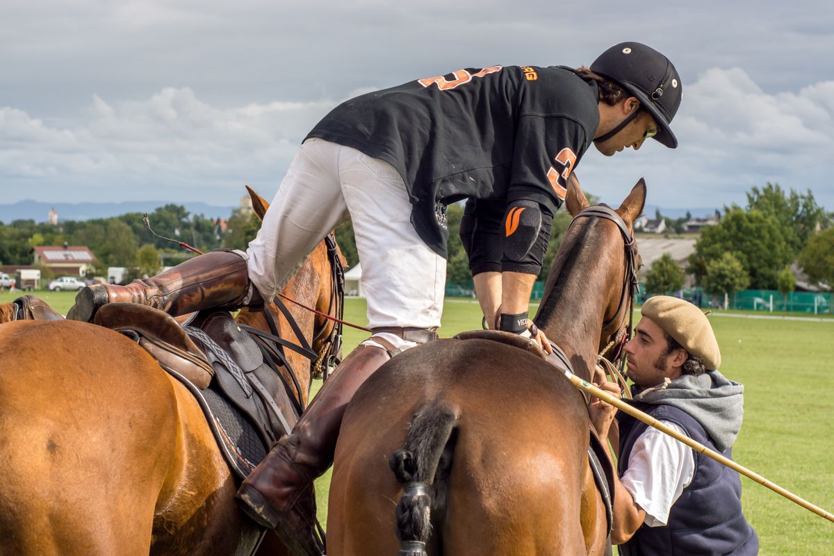 Während des Poloturniers in Stuttgart 2013 wechselt ein Reiter die Pferde ohne abzusteigen um keine Zeit zu verlieren