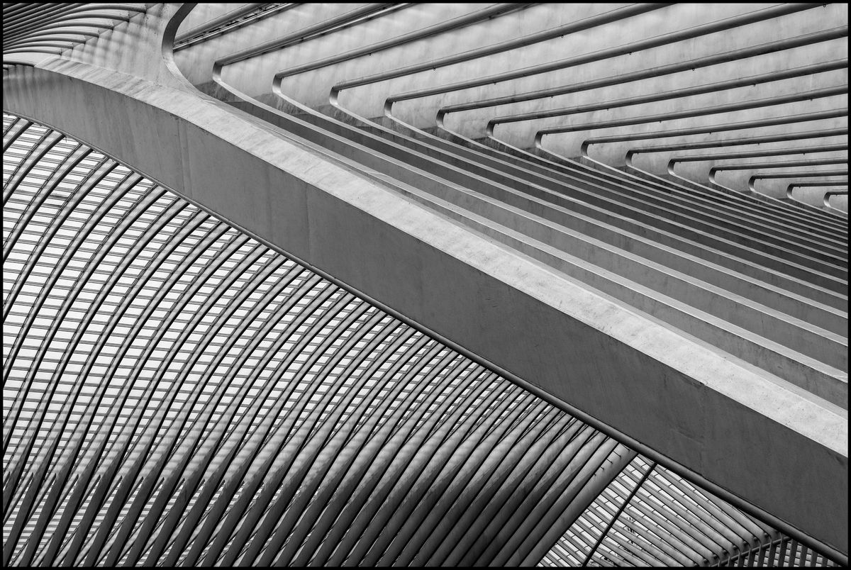 Guillemins