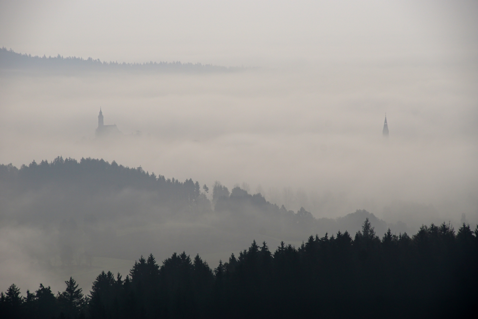 Pleystein im Morgennebel.jpg