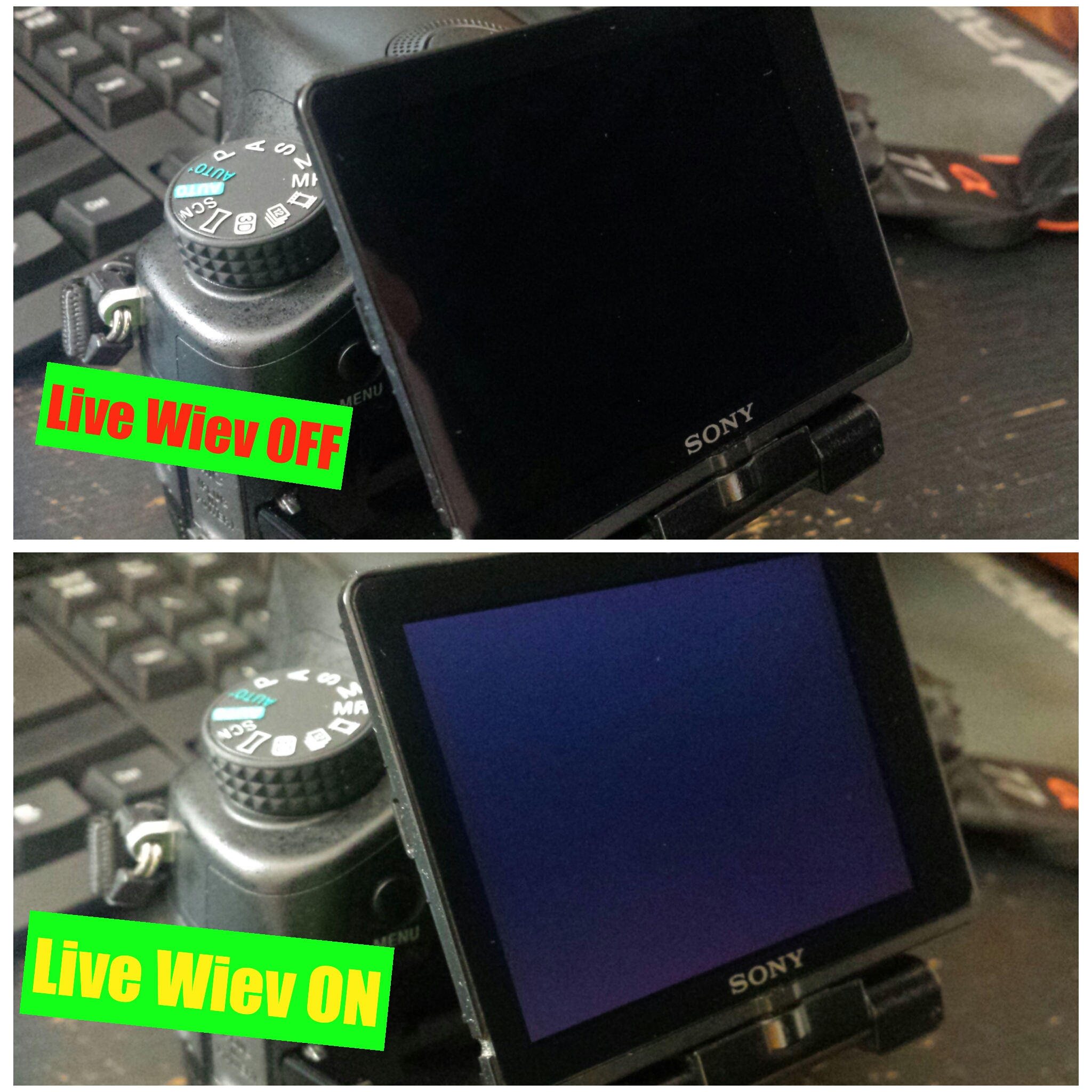 LCD problem Alpha77