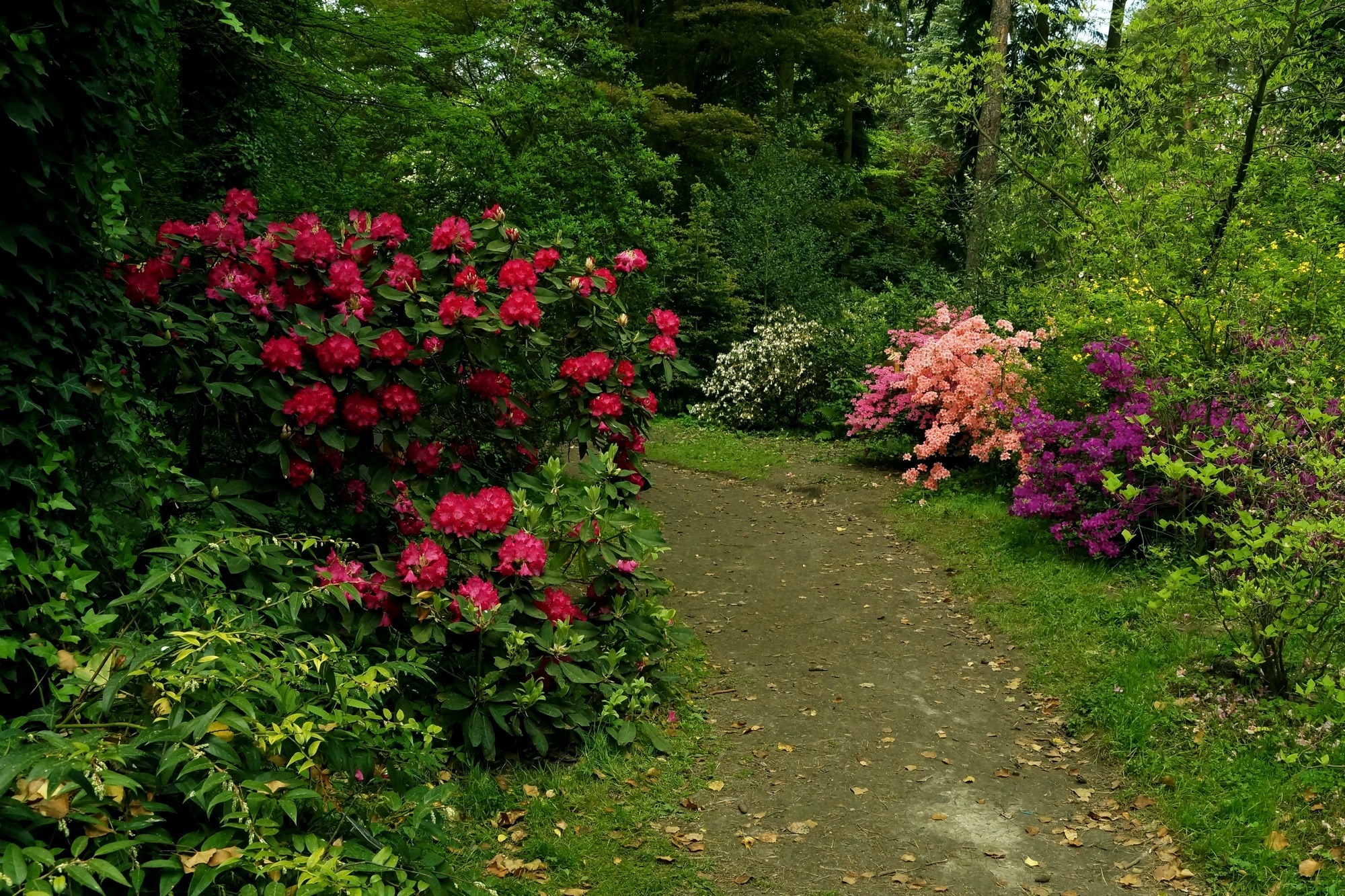 Arboretum Rogów