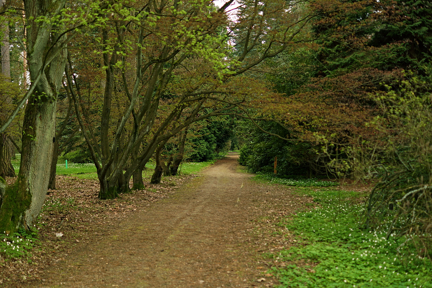 Arboretum