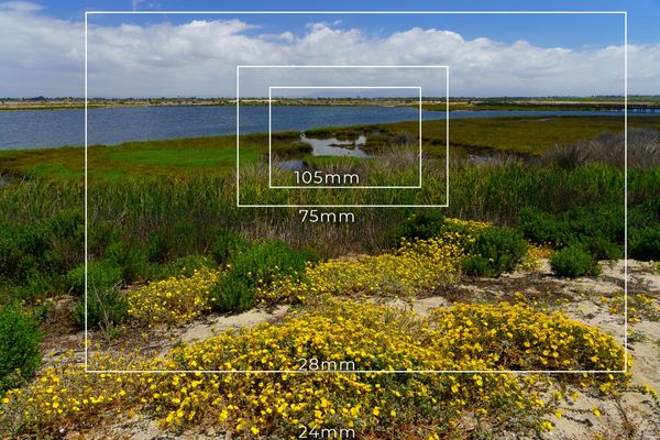 Sony-24-105mm-vs-Tamron-28-75mm-Focal-Range-1600x1066.jpg