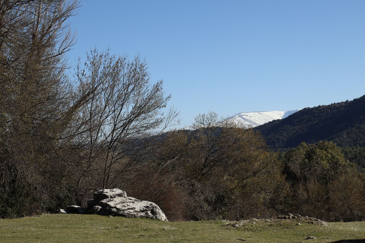 NATURALEZA