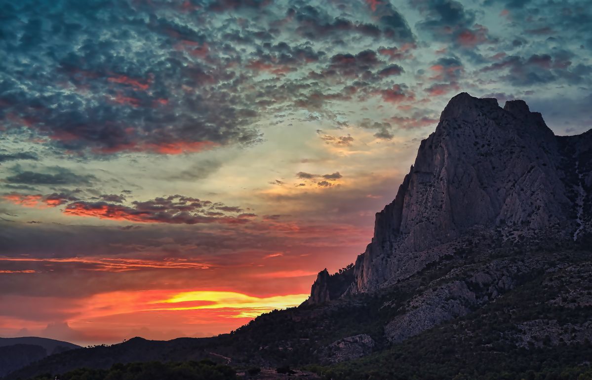 1090DD40-7C20-426B-B024-35C70A196053.jpeg