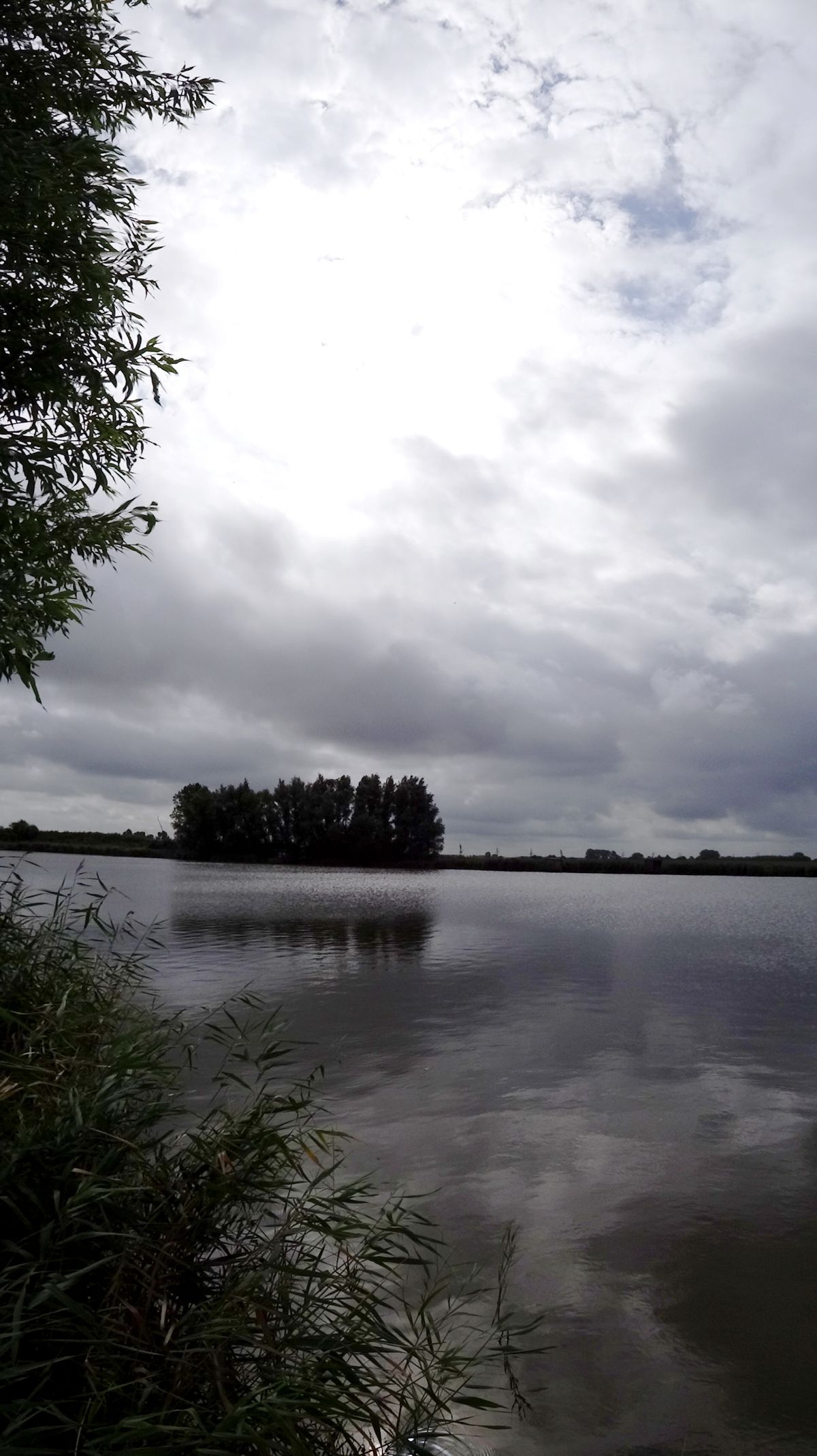 Panorama foto vertikaal van De Vogel Hengstdijk