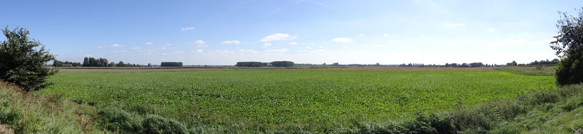 Uitgestrekte polders in Zeeuws-Vlaanderen